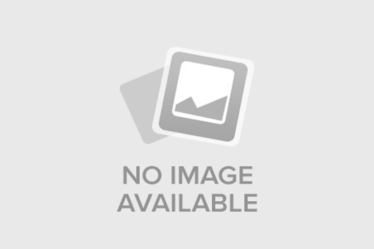 Анатомия страсти